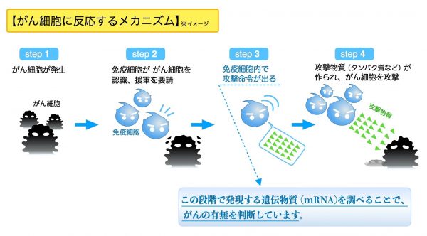 がん細胞を攻撃する方法